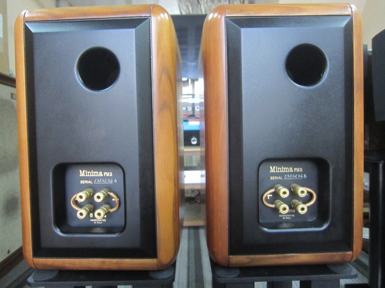 世霸老款小情人