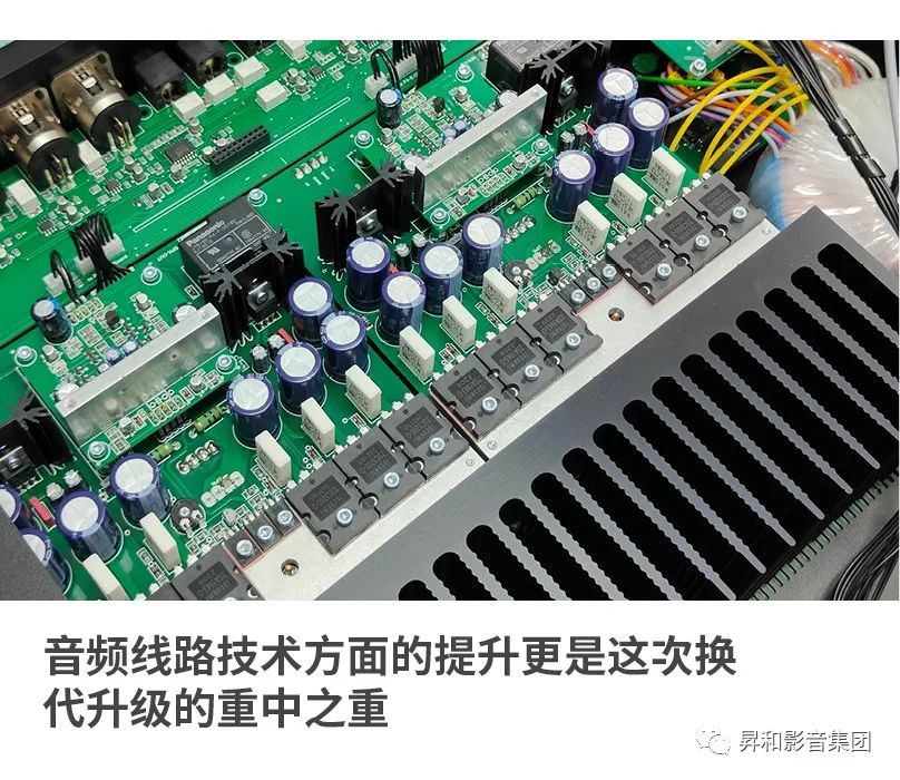 ✤中国✤酒器✤作家物✤ Amazon.com: Ikujinsha 41544-7 Sugar Land Cats Whiskers 馬克